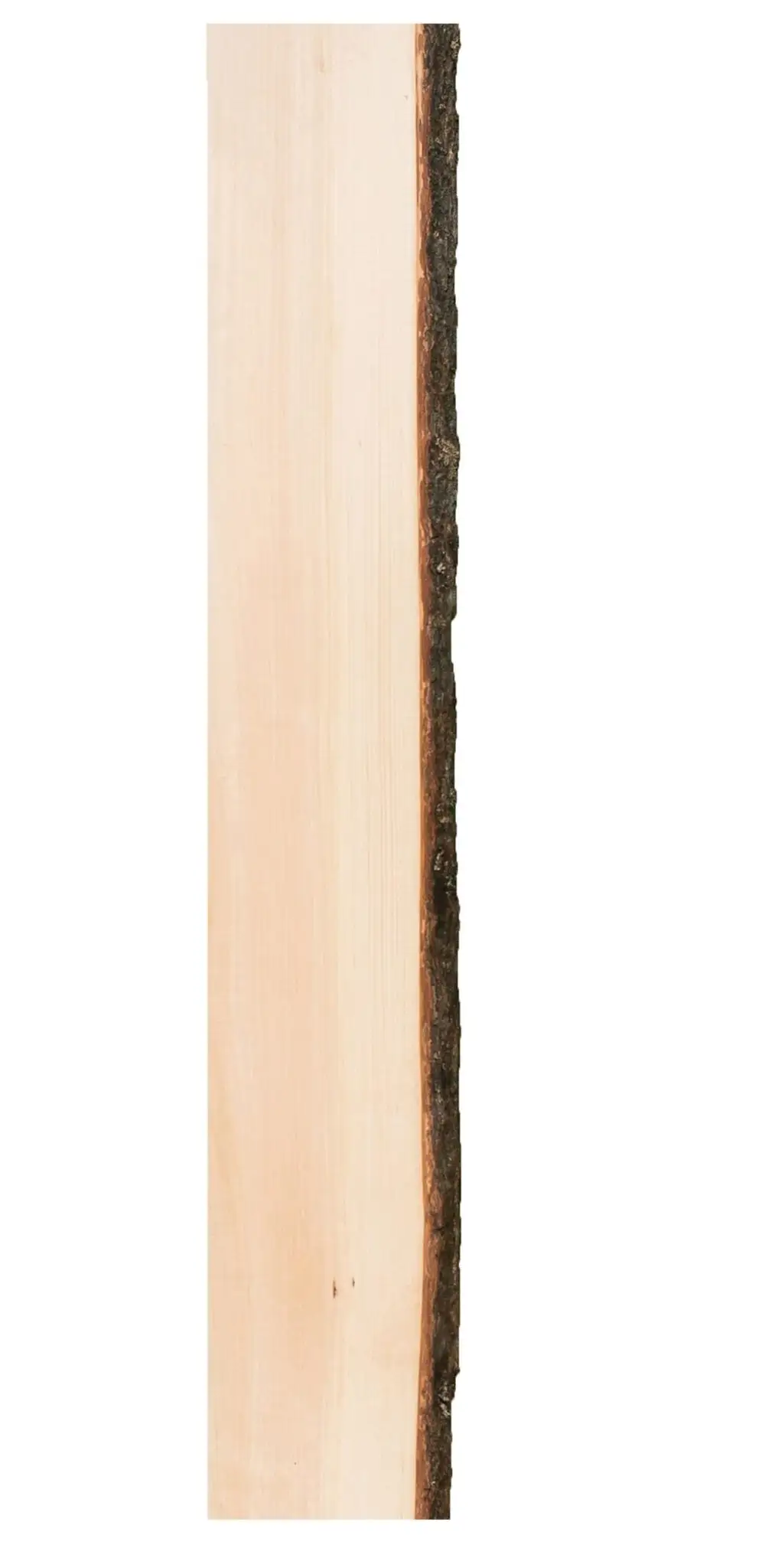Live Edge Timber 27001 Pine Shelf 4 Feet Rustic Home Decor